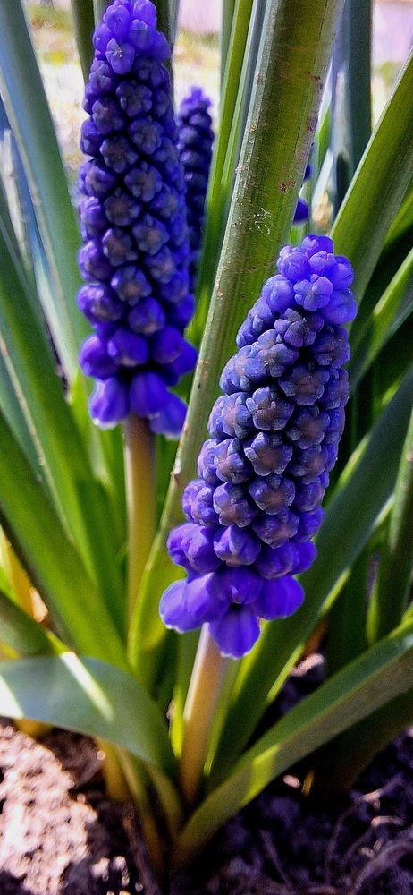 Photograph by Катя Бушная