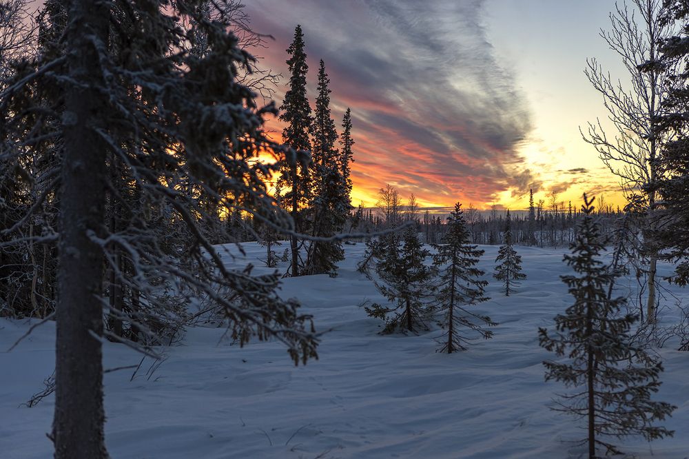 Photograph by Сергей Фомин