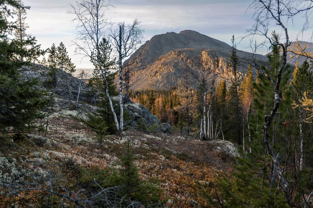 Photograph by Сергей Фомин