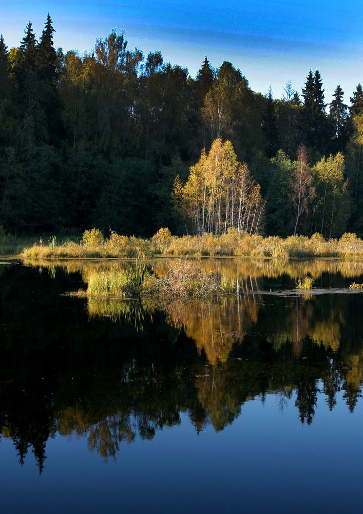 Фотография автора Станислав