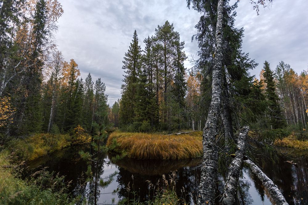 Photograph by Сергей Фомин