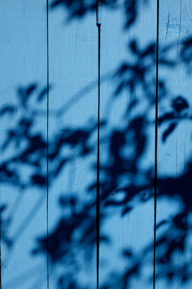 Photograph by Марина Мирошкина