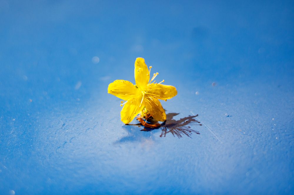 Photograph by Марина Мирошкина