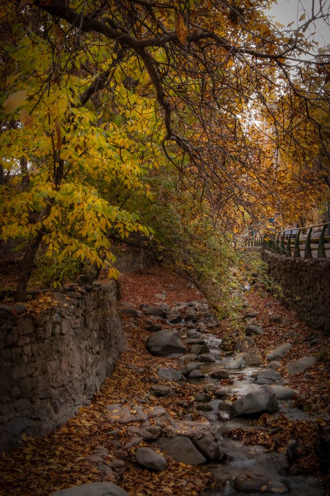 Фотография автора Siavash Banaei