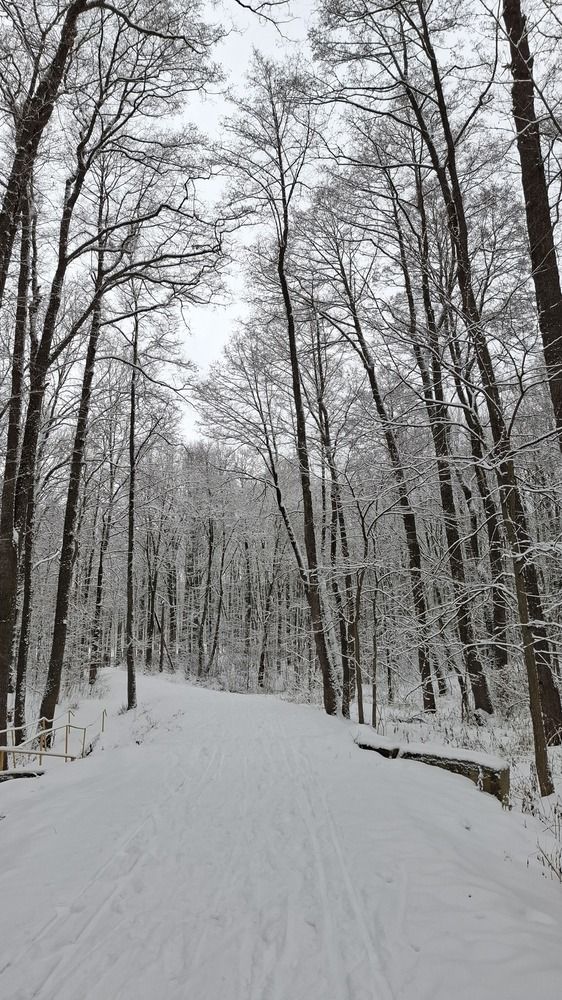 Photograph by Марина Мирошкина