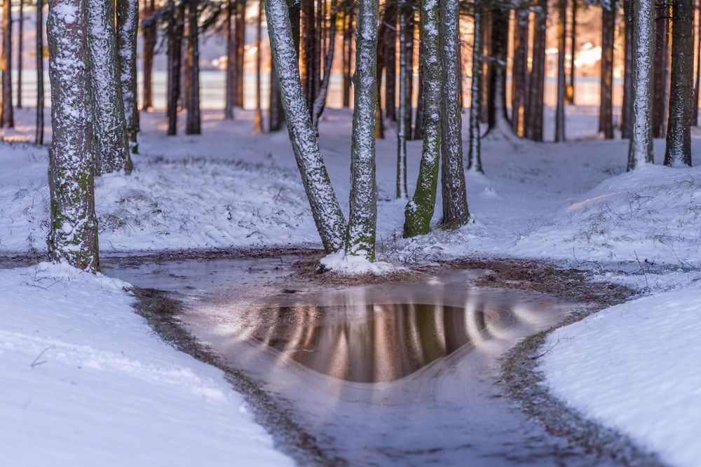 Photograph by Sidsel Tonnessen