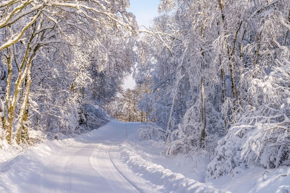 Photograph by Sidsel Tonnessen