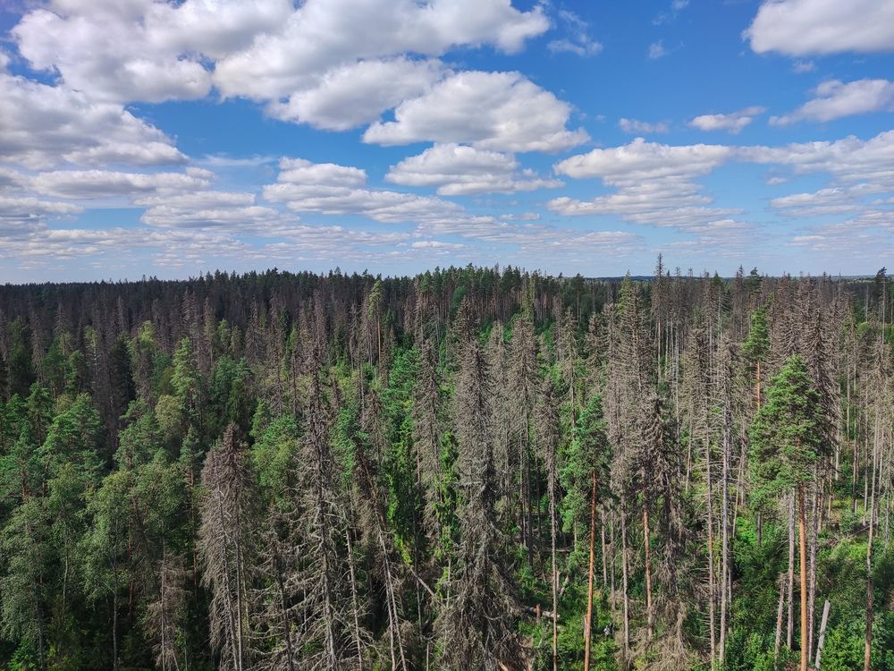 Photograph by Дмитрий Фетисов