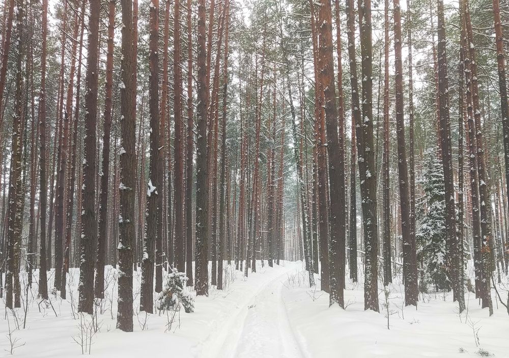 Photograph by Дмитрий Фетисов