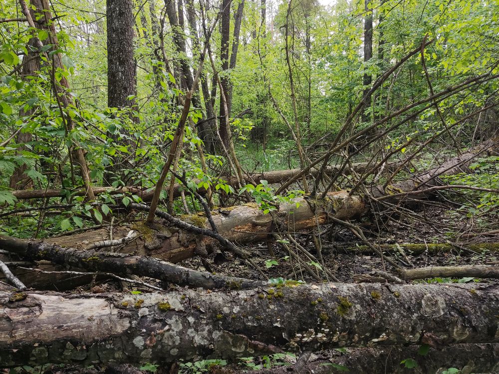 Photograph by Дмитрий Фетисов