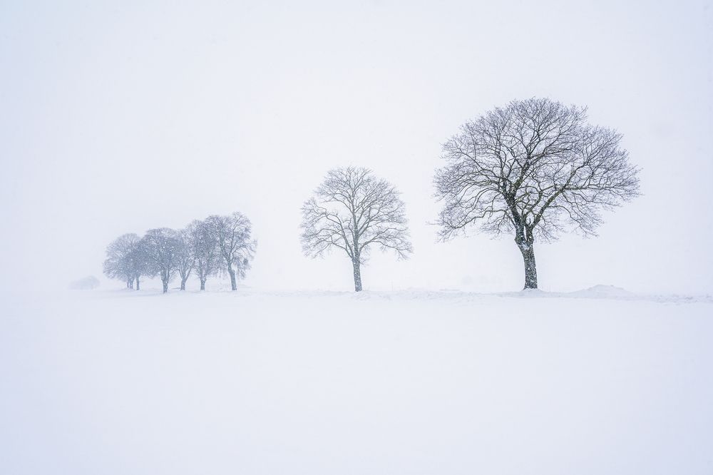 Photograph by Tomasz Dunajski