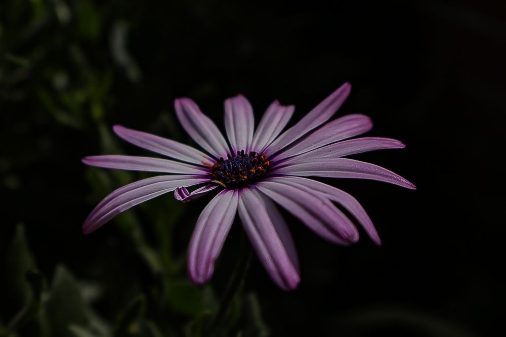 Beauty in everyday life