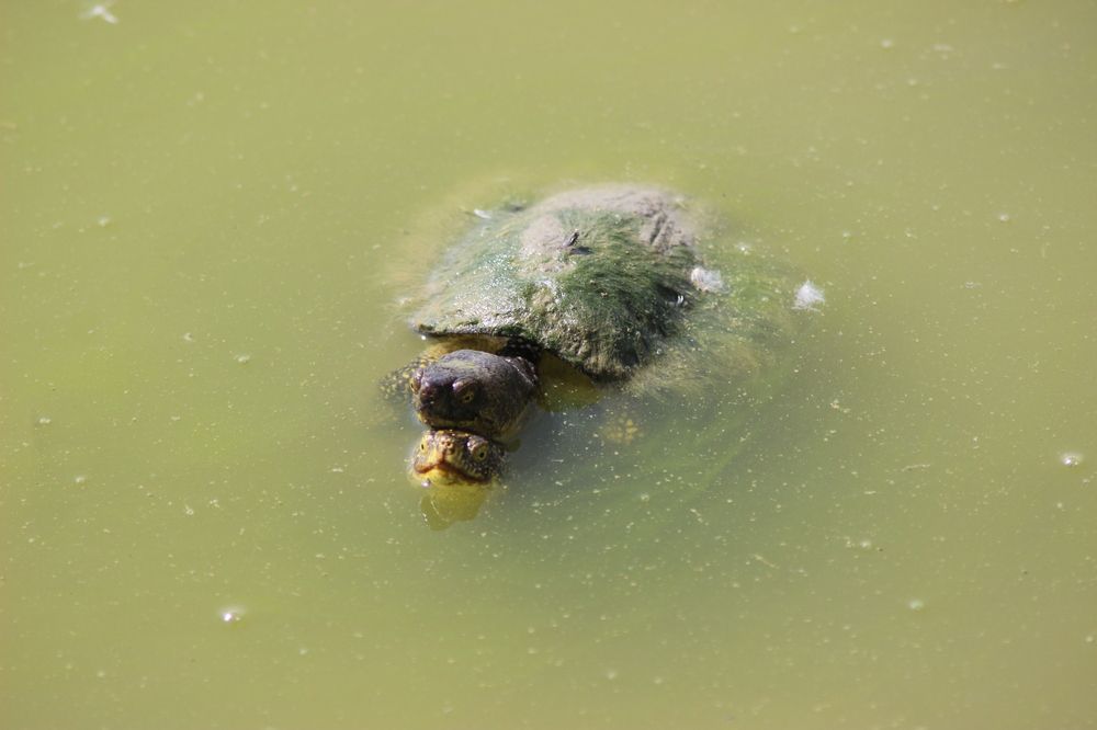 Photograph by MariaVittoria Amoruso