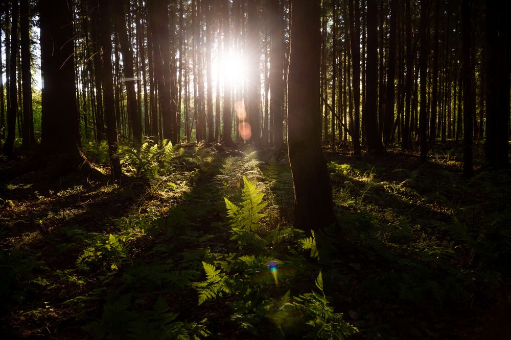 Photograph by Андрей Зуев