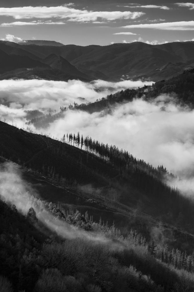 Photograph by Marian Lázaro