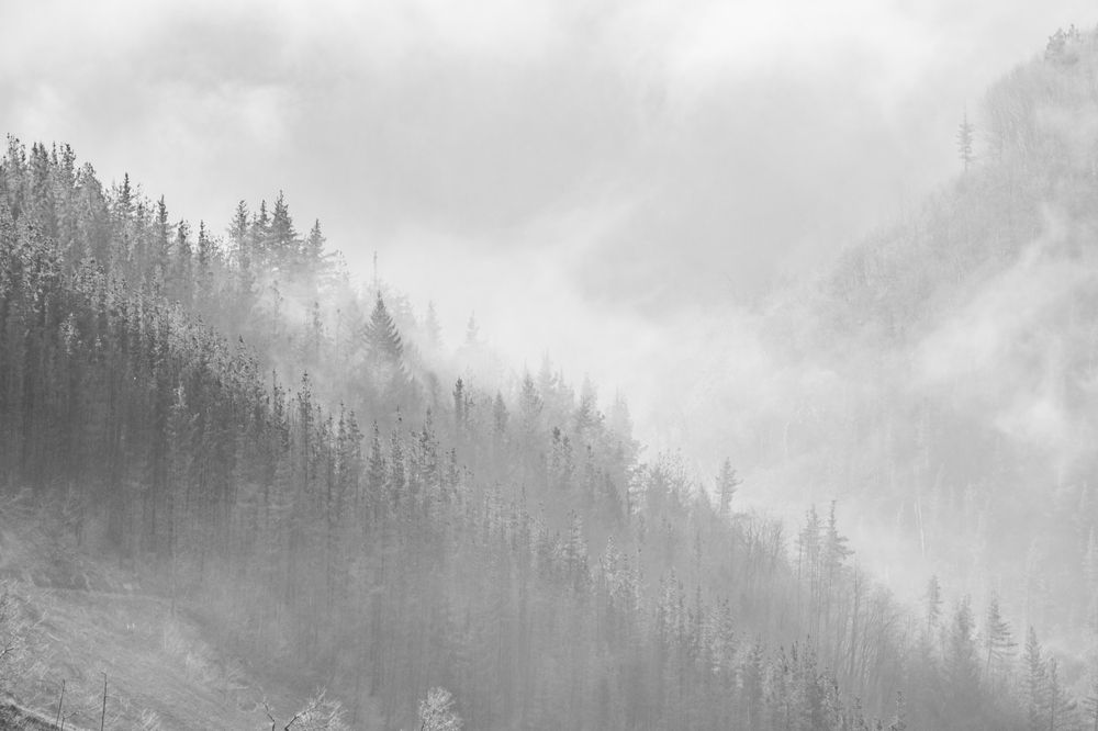 Photograph by Marian Lázaro