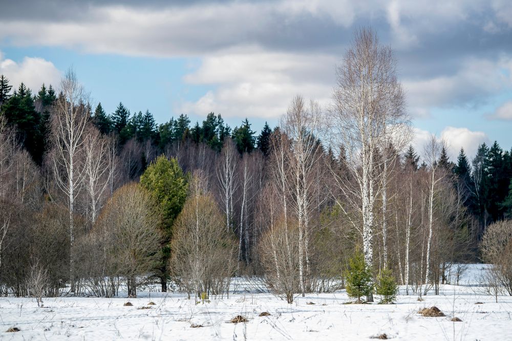 Photograph by Андрей Зуев