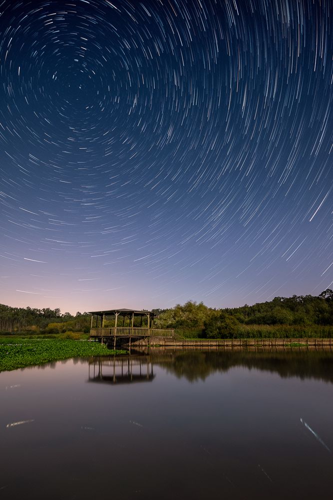 Photograph by Bruno Ribeiro