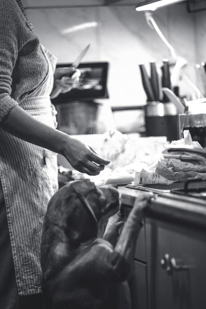 Фотография автора Берлиоз Бегемот