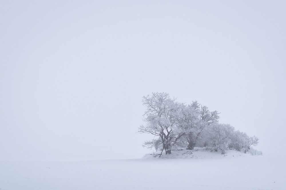 Photograph by Jiří Hakauf
