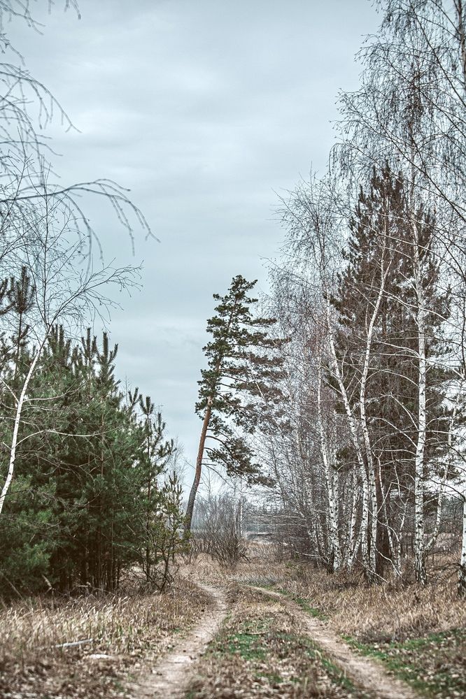 Фотография автора Елена Чиликина