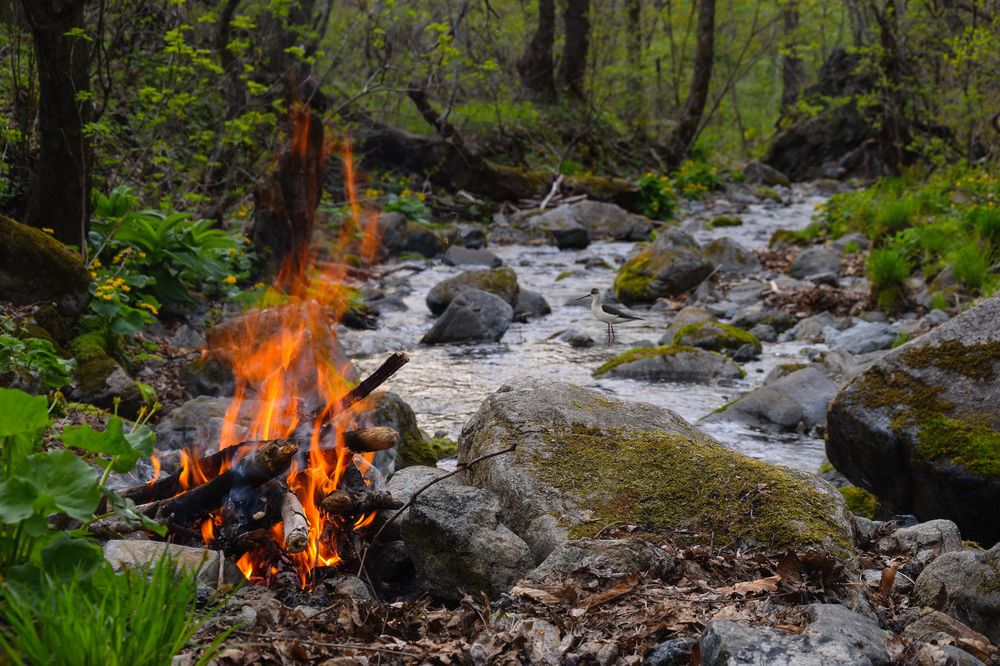 Photograph by Александр Кордюков