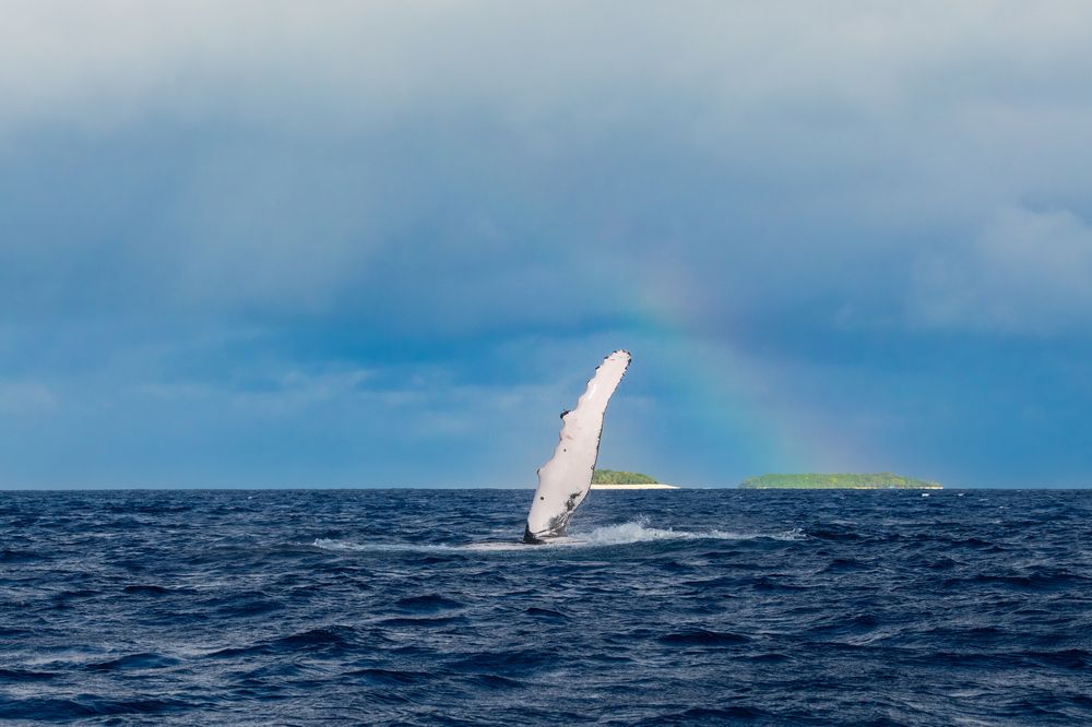 Photograph by nishijima takayuki