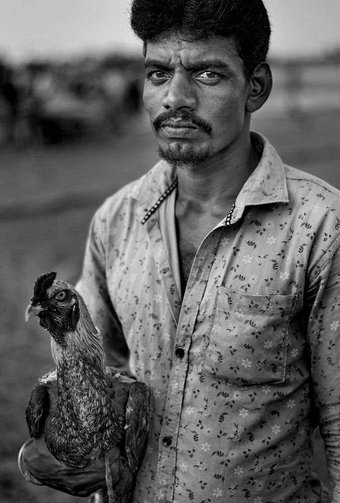 Photograph by Гиль Александр