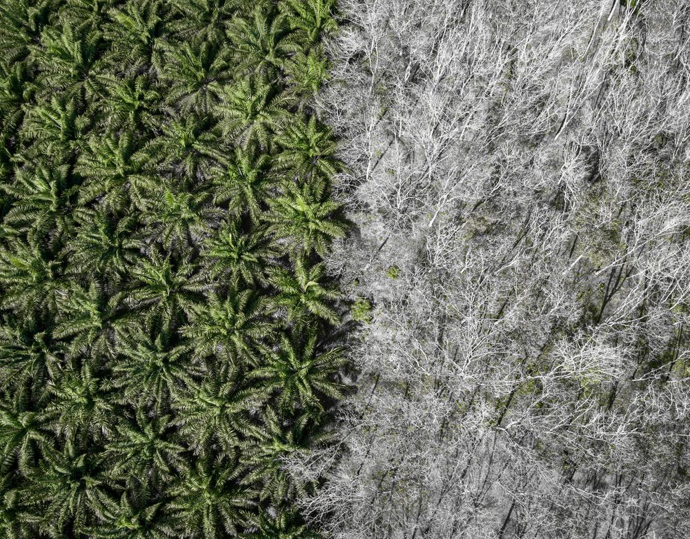 Photograph by Uku Sööt