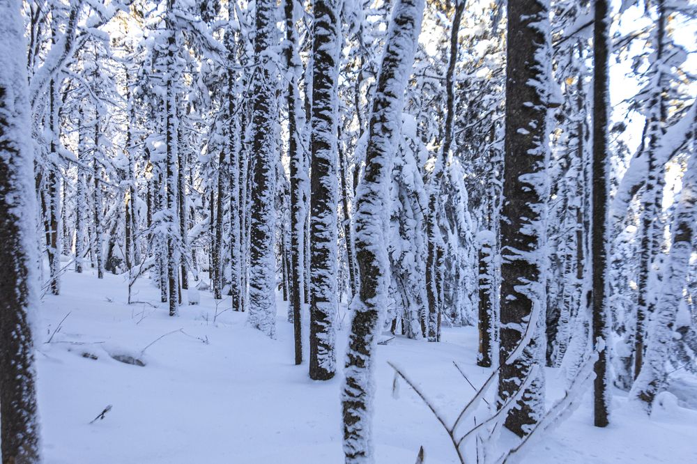 Photograph by Sergey Tsubanov