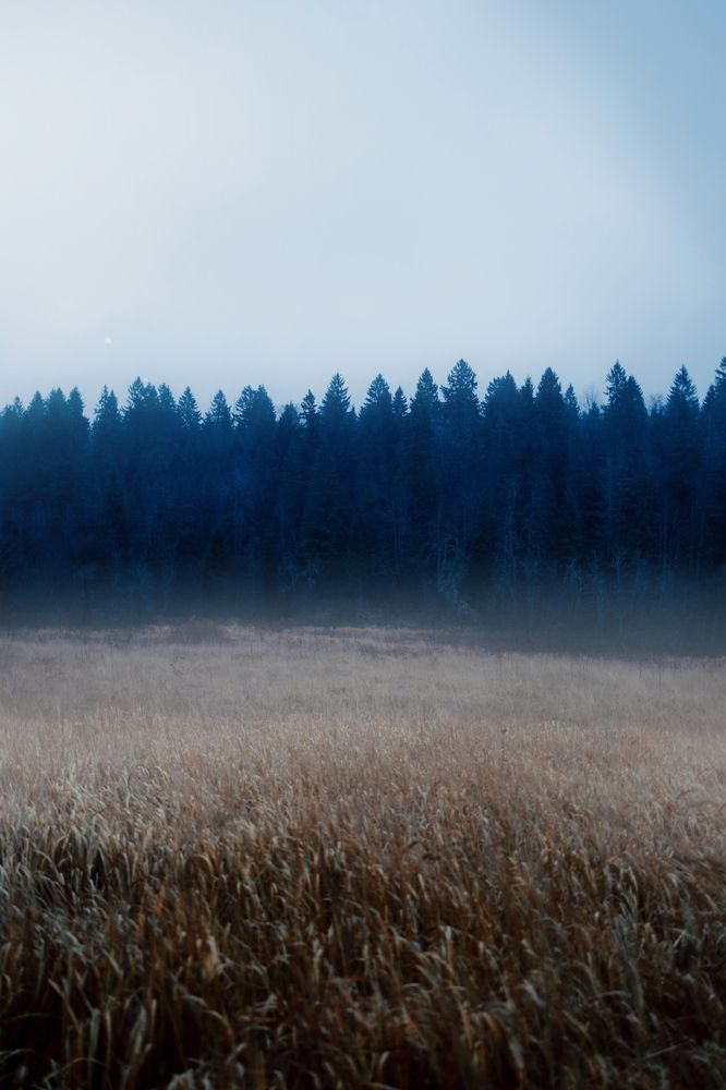 Photograph by Тимофей Стрельцов