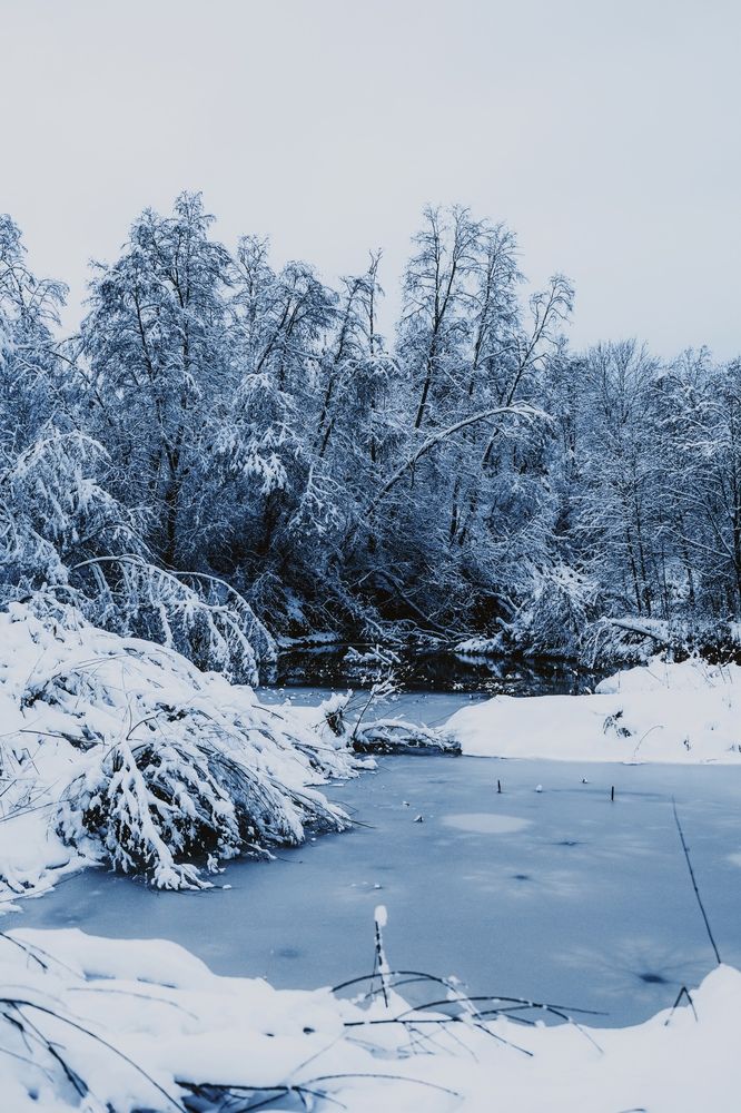 Photograph by Тимофей Стрельцов