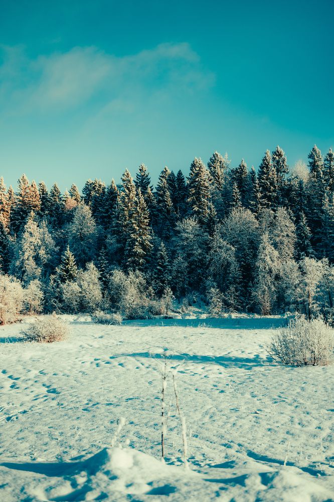 Photograph by Тимофей Стрельцов