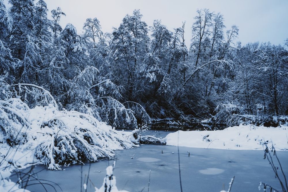 Photograph by Тимофей Стрельцов