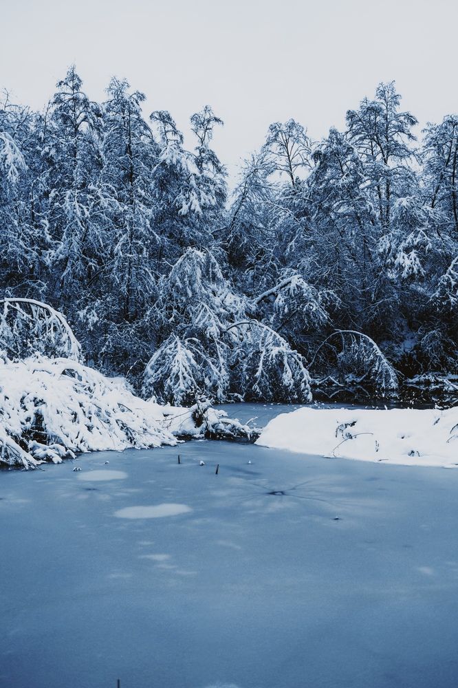 Photograph by Тимофей Стрельцов