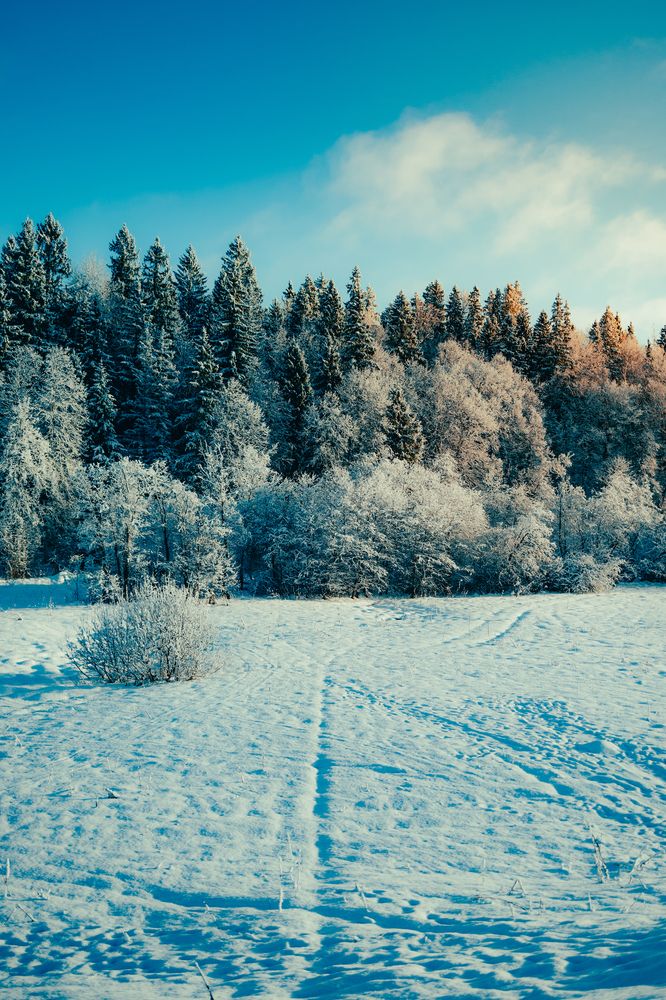 Photograph by Тимофей Стрельцов