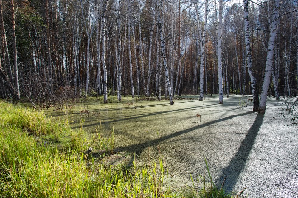 Photograph by Константин Искучеков