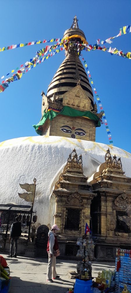 Photo #11838953