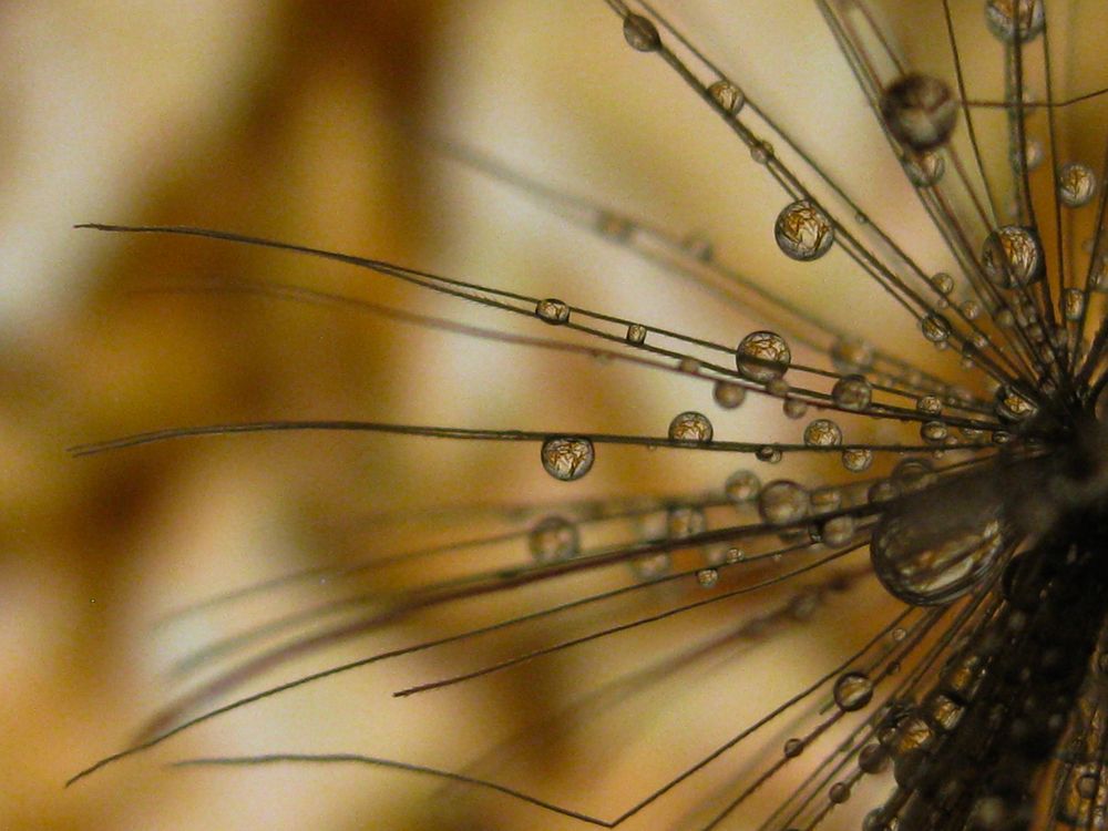 Photograph by MM Khojasteh