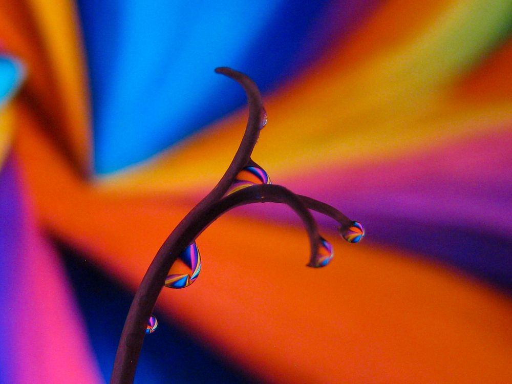 Photograph by MM Khojasteh