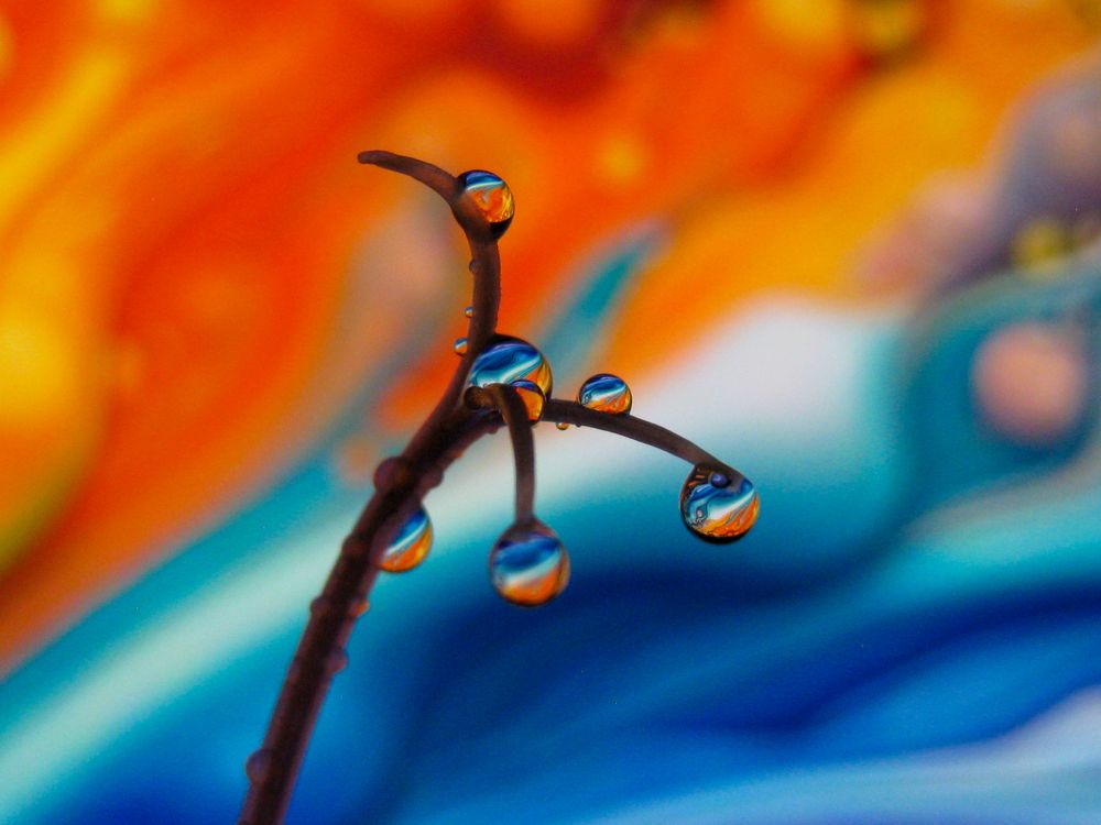 Photograph by MM Khojasteh