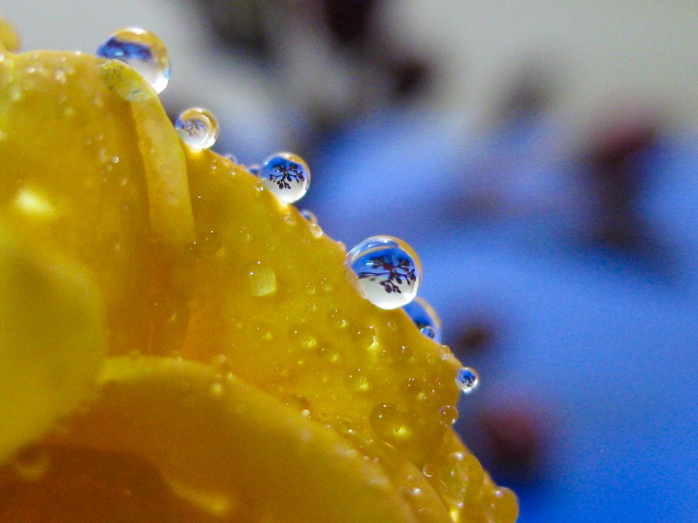 Photograph by MM Khojasteh