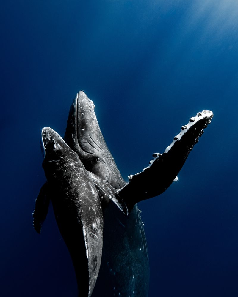 Photograph by nishijima takayuki