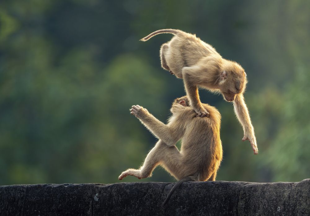 Photograph by Gerardo Ochoa