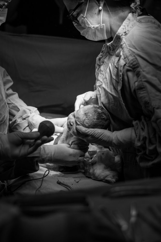 Photograph by Melanie Fernandez