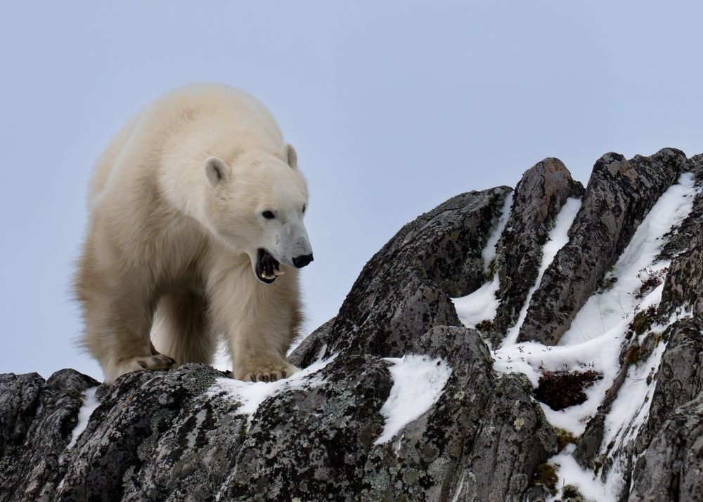 Photograph by Владимир Цветов