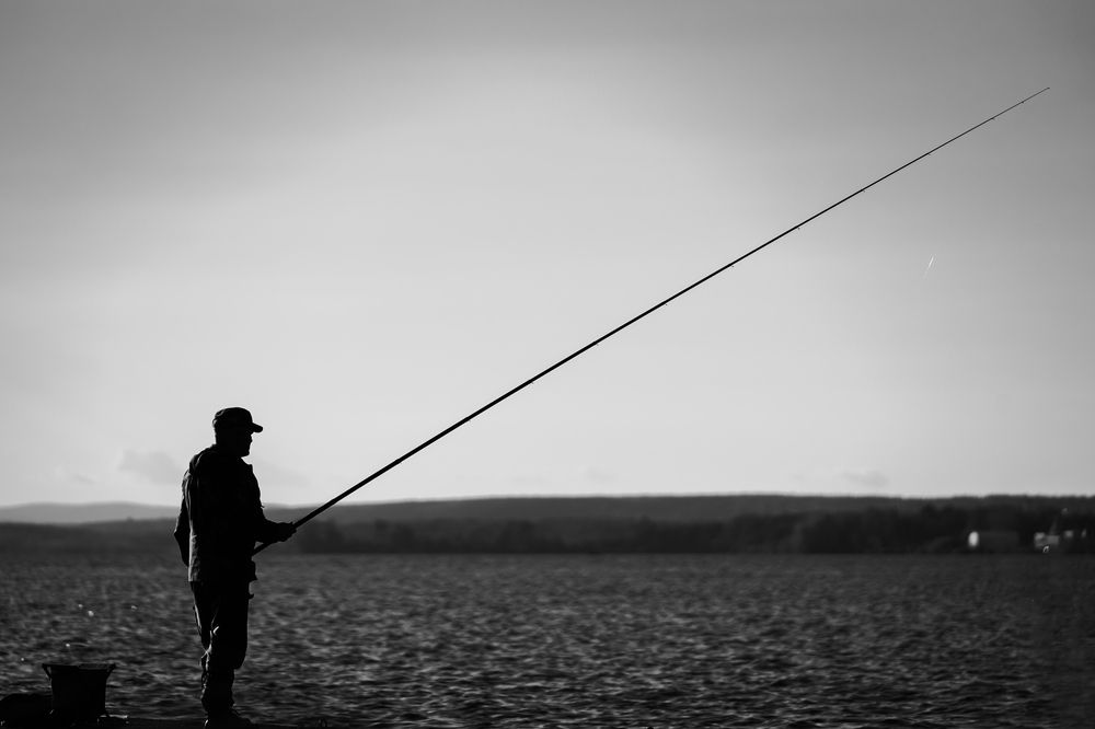 Фотография автора Nikolay Kushov