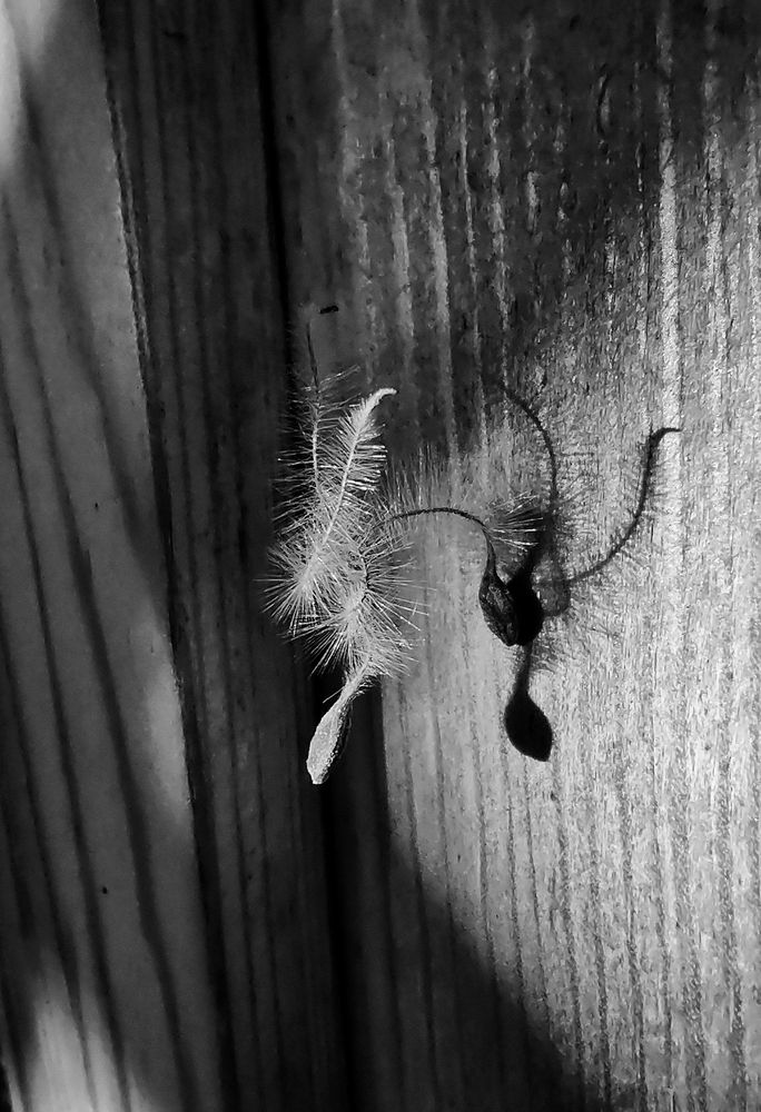 Photograph by Оксана Лоншакова