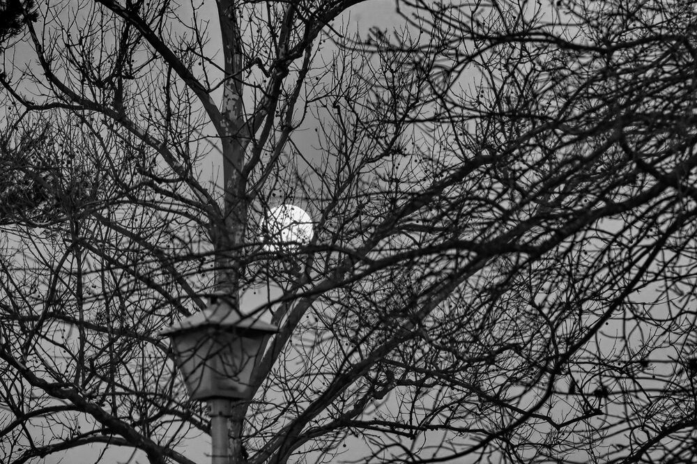 Photograph by Oleg Chemodanov