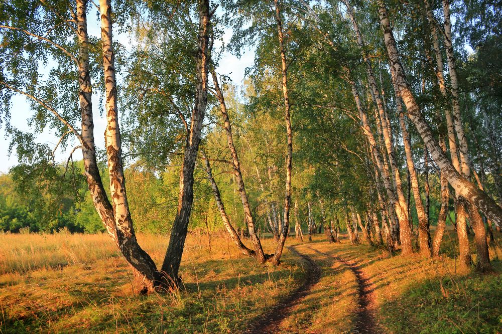 Фотография автора Кухта Мария